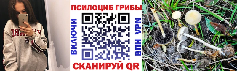МЕГА ССЫЛКА  Феодосия  Галлюциногенные грибы GOLDEN TEACHER  купить наркотики цена 