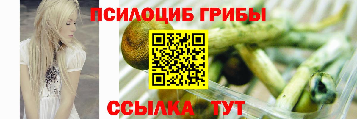 Псилоцибиновые грибы прущие грибы  Псилоцибиновые грибы MAGIC MUSHROOMS  Феодосия  Вход с VPN 